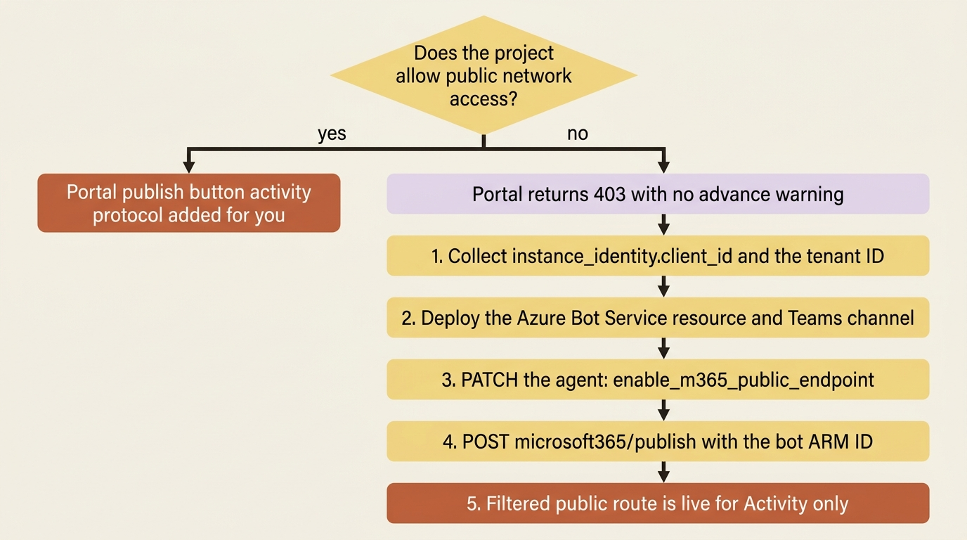 The publish decision: a project with public network access uses the portal button, and a private project falls through 403 into a five-step REST flow.